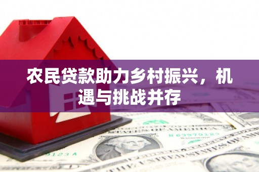 花溪农民贷款助力乡村振兴，机遇与挑战并存