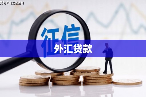 花溪外汇贷款