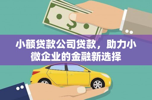 花溪小额贷款公司贷款，助力小微企业的金融新选择