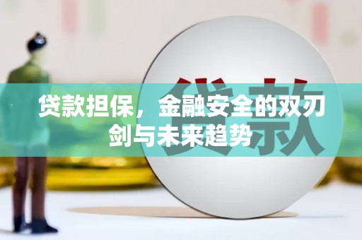 花溪贷款担保，金融安全的双刃剑与未来趋势