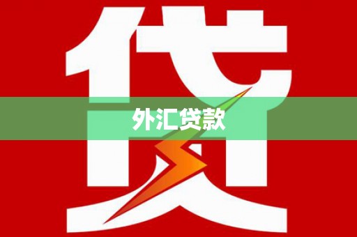 花溪外汇贷款