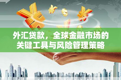 花溪外汇贷款，全球金融市场的关键工具与风险管理策略