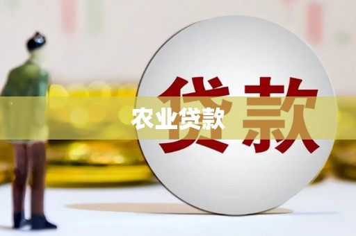 花溪农业贷款