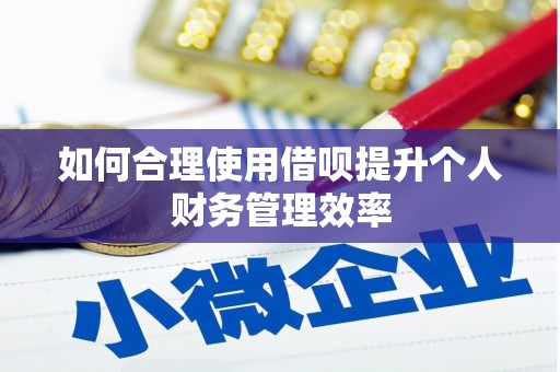 花溪如何合理使用借呗提升个人财务管理效率