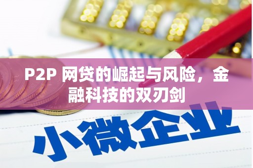 花溪P2P 网贷的崛起与风险，金融科技的双刃剑