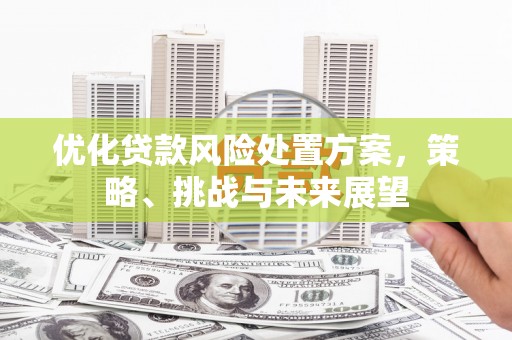 花溪优化贷款风险处置方案，策略、挑战与未来展望