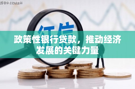 花溪政策性银行贷款，推动经济发展的关键力量