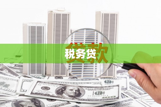 花溪税务贷