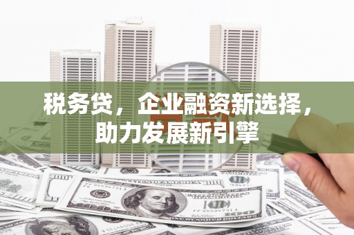 花溪税务贷，企业融资新选择，助力发展新引擎