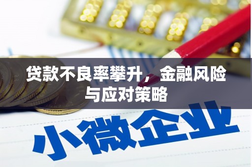 花溪贷款不良率攀升，金融风险与应对策略