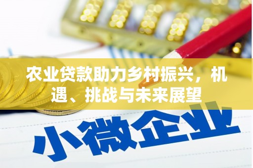 花溪农业贷款助力乡村振兴，机遇、挑战与未来展望