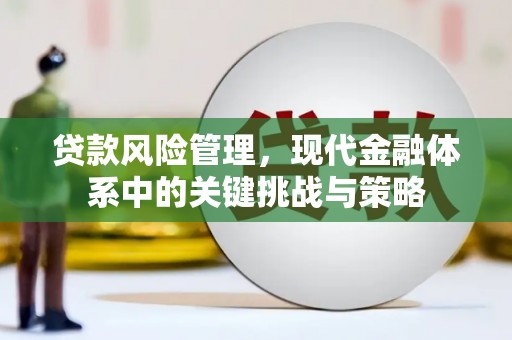 花溪贷款风险管理，现代金融体系中的关键挑战与策略