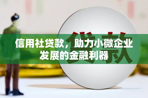 花溪信用社贷款，助力小微企业发展的金融利器