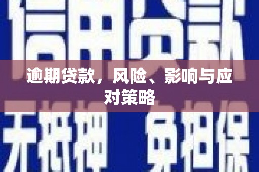 花溪逾期贷款，风险、影响与应对策略