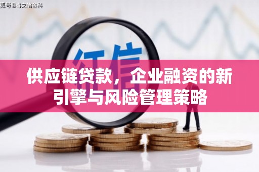 花溪供应链贷款，企业融资的新引擎与风险管理策略
