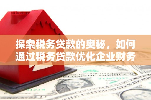 花溪探索税务贷款的奥秘，如何通过税务贷款优化企业财务