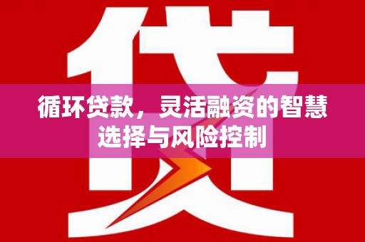 花溪循环贷款，灵活融资的智慧选择与风险控制