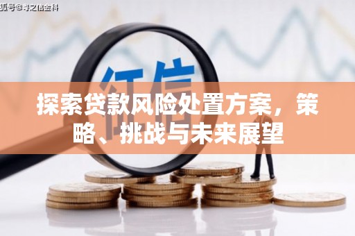 花溪探索贷款风险处置方案，策略、挑战与未来展望