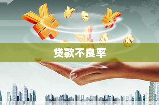花溪贷款不良率