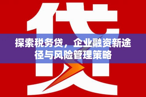 花溪探索税务贷，企业融资新途径与风险管理策略