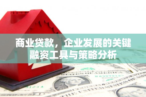 花溪商业贷款，企业发展的关键融资工具与策略分析