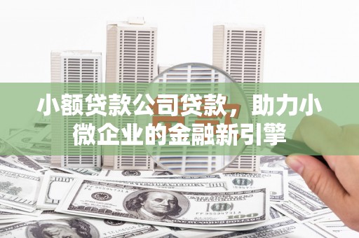 花溪小额贷款公司贷款，助力小微企业的金融新引擎