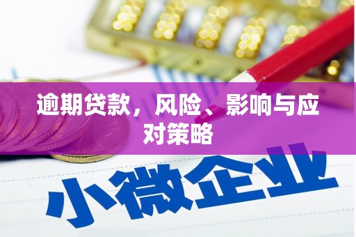 花溪逾期贷款，风险、影响与应对策略