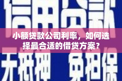 花溪小额贷款公司利率，如何选择最合适的借贷方案？