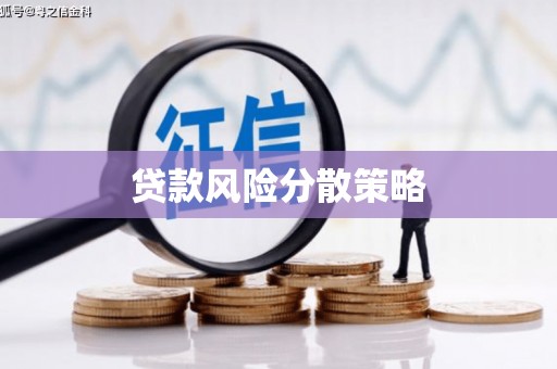 花溪贷款风险分散策略