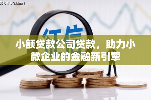花溪小额贷款公司贷款，助力小微企业的金融新引擎
