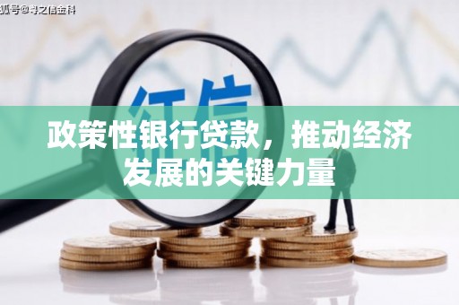 花溪政策性银行贷款，推动经济发展的关键力量
