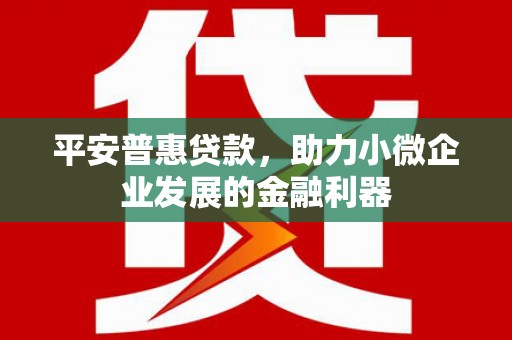 花溪平安普惠贷款，助力小微企业发展的金融利器