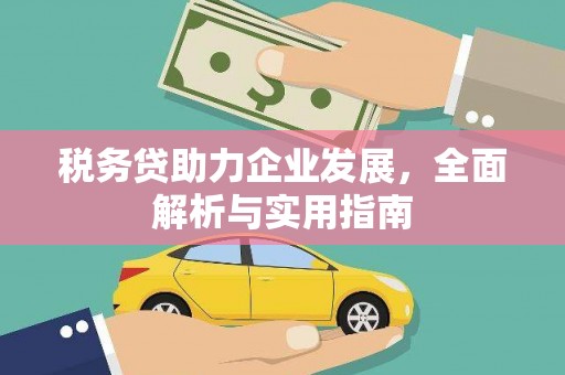 花溪税务贷助力企业发展，全面解析与实用指南