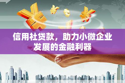 花溪信用社贷款，助力小微企业发展的金融利器