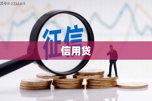 花溪信用贷