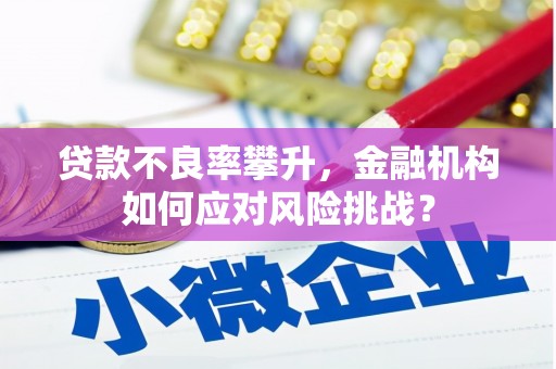 花溪贷款不良率攀升，金融机构如何应对风险挑战？