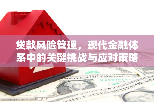花溪贷款风险管理，现代金融体系中的关键挑战与应对策略