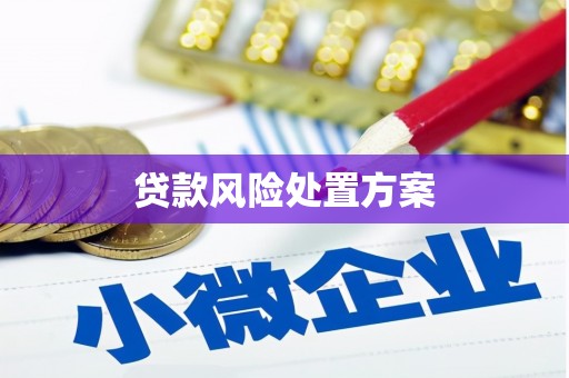 花溪贷款风险处置方案