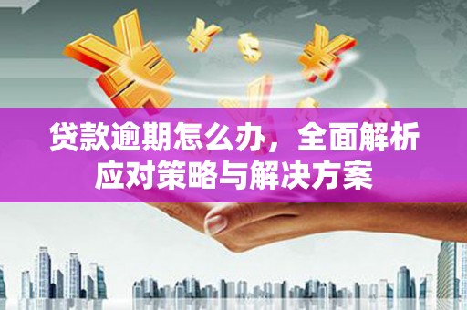 花溪贷款逾期怎么办，全面解析应对策略与解决方案